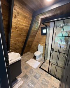 萨潘贾BLS BUNGALOVE SAPANCA的浴室配有卫生间、盥洗盆和淋浴。