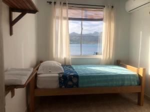 Santa Catalina IslandMiss Francia´s Home的一间小卧室,配有床和窗户