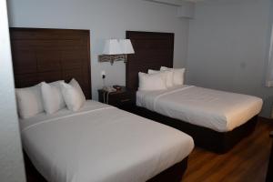 麦迪逊AmericInn by Wyndham Madison WI的配有白色床单的酒店客房内的两张床