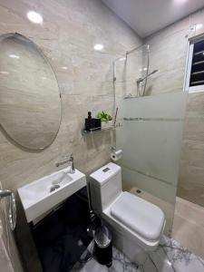 圣多明各Acogedor apartamento 2 hab Distrito nacional, próximo agora mall的一间带卫生间、水槽和镜子的浴室
