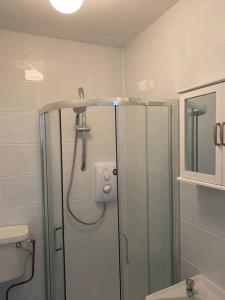 戈尔韦Beautiful one bedroom Apartment In Galway City的带淋浴的浴室和玻璃门