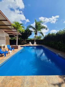 戴维Pool House with Shared Pool Access的一座蓝色的大型游泳池,里面设有蓝色的椅子和棕榈树