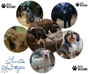 加来B & B Les Secrets des Loges的不同类型狗的照片拼合在一起