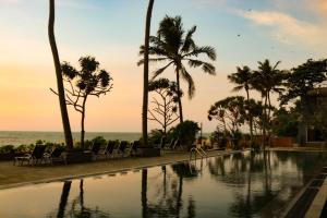 尼甘布Earl's Regent Negombo的一座棕榈树和海洋游泳池