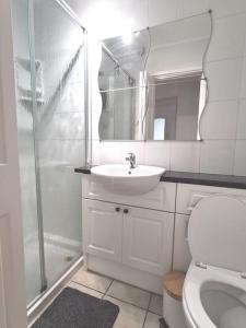 博德明Cosy Self Contained Annexe的浴室配有卫生间、盥洗盆和淋浴。