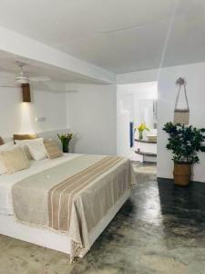 维拉港Banana Bay Beach Club的一间白色卧室,配有床和植物