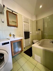 莫雄马扎尔古堡Rabbit apartman的带浴缸、水槽和洗衣机的浴室