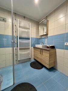 莫雄马扎尔古堡Rabbit apartman的一间带水槽和淋浴的浴室