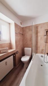 戈尔多拉Casa Rosina - Una caramella, nel nucleo, ai piedi della Verzasca-的浴室配有卫生间、盥洗盆和浴缸。