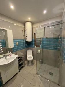 克拉斯诺布鲁德Luxdomki的带淋浴、卫生间和盥洗盆的浴室
