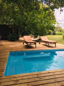 KhwaiO Bona Moremi Safari Lodge的游泳池旁的两把长椅