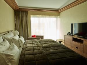 沙莫林X-BIONIC Hotel的酒店客房,配有床和电视