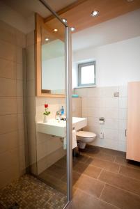 瓦伦慕特兹佩勒酒店的一间带水槽、卫生间和镜子的浴室