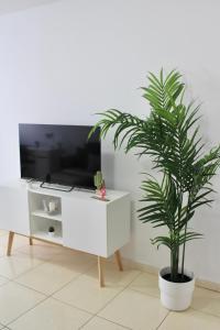 阿尔卡拉La Guarida de Alcalán的客厅里种植了棕榈树,旁边配有电视