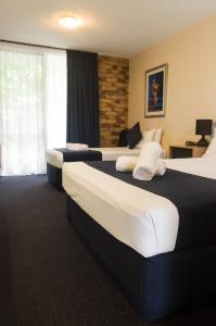 布里斯班兰开斯特科特汽车旅馆的酒店客房设有两张床和窗户。