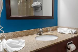 汉密尔顿Premier Inn & Suites - Downtown Hamilton的浴室的柜台设有水槽和镜子