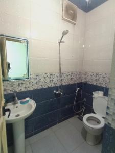 阿斯旺City Center Guest house and Hostel的带淋浴、卫生间和盥洗盆的浴室