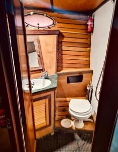 斯培西亚Motobarca Oceania的一间带卫生间和水槽的小浴室
