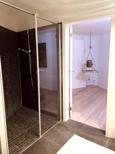 沙夫豪森AIR BNBAR N°13的玻璃淋浴间,浴室内