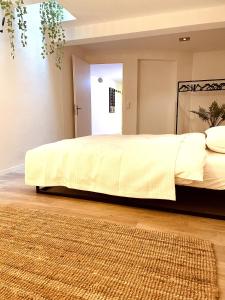 沙夫豪森AIR BNBAR N°13的一间卧室配有一张大床和地毯。