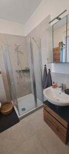 伊瑟隆Waldstadt-Apartments的带淋浴和盥洗盆的浴室