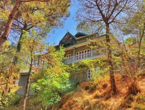 卡绍利Vintage Villa, Kasauli的一座树荫小山顶上的大型房屋