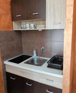 采蒂涅Apartmani Vučinić的厨房配有水槽和台面