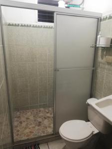 福尔图纳Morpho Casa Vacacional的带淋浴、卫生间和盥洗盆的浴室