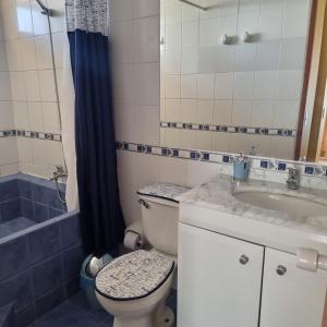 阿尔加罗沃Condominio Altos de Mirasol II的浴室配有卫生间、盥洗盆和淋浴。