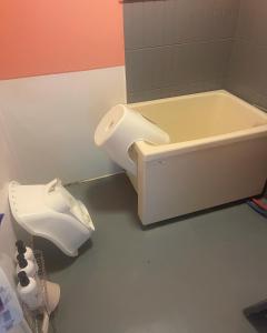 FutaeFRIENDS的带浴缸和卫生间的浴室。