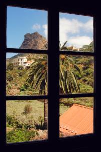 巴列埃尔莫索Casa Rural El Palmar的从窗口欣赏棕榈树的景色