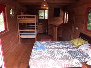 法勒B & Bee Wild Island - Nature Song的小屋内的卧室配有一张床和梯子