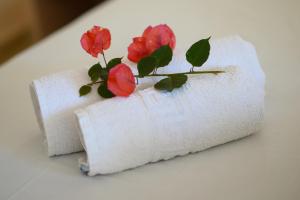 贝尼蔡斯Siora Leni Hotel的上装有红色花的卫生纸卷