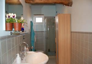 卢卡Gaia的一间带水槽和淋浴的浴室