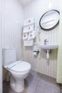 基辅MYFREEDOM Апартаменти метро Святошин的一间带卫生间、水槽和镜子的浴室