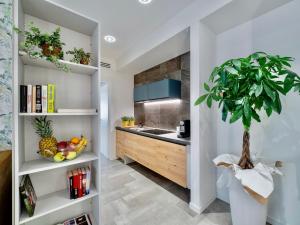 梅斯特Venice Green Residence的一间厨房,里面装有水槽和植物
