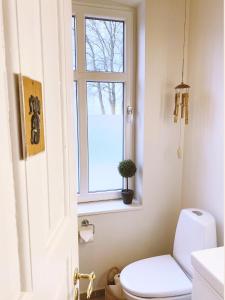 森讷堡Vibæk的一间带卫生间和窗户的浴室
