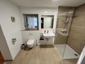 巴特弗兰肯豪森Scheune 65的浴室配有卫生间、盥洗盆和淋浴。
