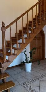 米兹多洛杰Villa Basia的木楼梯,有盆栽的房子