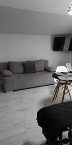 米兹多洛杰Villa Basia的客厅配有沙发和桌子