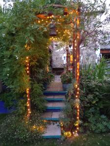 赖德Osborne Lodge的一个带圣诞灯楼梯的花园