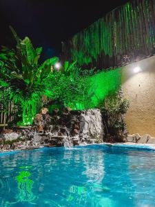 马卡科斯Pousada Casinha Velha的夜间游泳池,灯光绿色