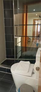 里斯本马蒂姆莫尼兹28号旅馆的一间带卫生间和玻璃淋浴间的浴室