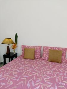 高尔安努沙15号寄宿公寓的粉红色的床,上面有两个枕头