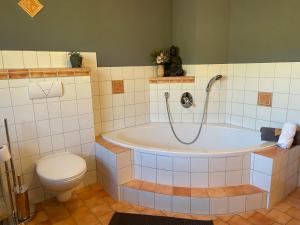 希格斯多夫Chiemgauer Ferienhaus的带浴缸和卫生间的浴室。