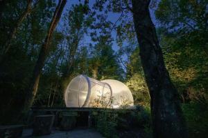 Sala BielleseFUTURE IS NATURE PLAYGROUND的森林中间的冰屋