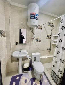 乔克-塔尔Cottage ЦО Paris的一间带卫生间和水槽的小浴室