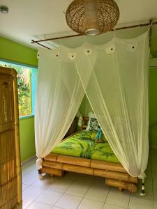 圣安尼Gîte Zandoli Koko的一间卧室配有一张带天蓬的床