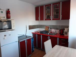 KozłówekAgrowilla Kozłówek的厨房配有红色橱柜和白色冰箱