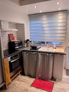 武夫赖Troglodyte du Petit Coteau的厨房配有不锈钢用具和窗户
